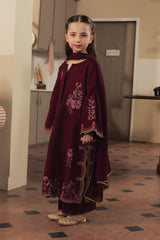 ZIVA - 3PC KOREAN RAW SILK EMBROIDERED SUIT